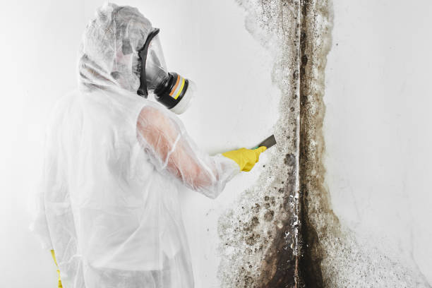 Best Crawl Space Mold Removal  in Eagle, WI