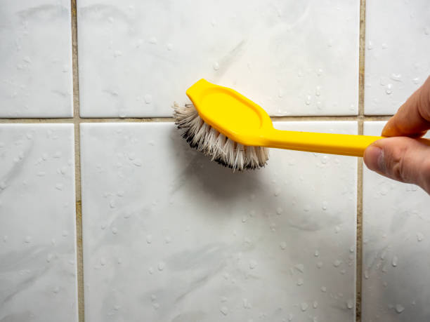 Best Local Mold Removal Service  in Eagle, WI