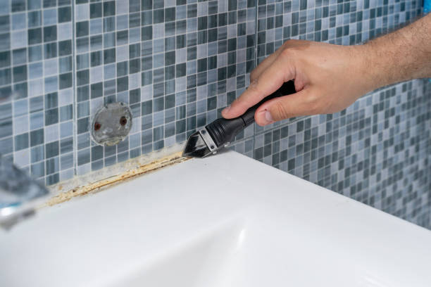 Best Attic Mold Removal  in Eagle, WI