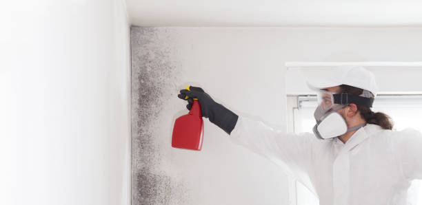 Best Commercial Mold Removal  in Eagle, WI